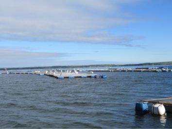 Financiamento garante investimentos em piscicultura em Aparecida do Taboado