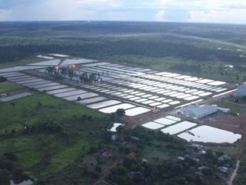 Mudança na legislação possibilita expansão da piscicultura no Mato Grosso